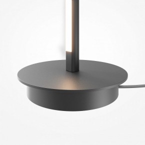 Торшер Maytoni Thin MOD395FL-L28B3K в Нижнем Тагиле - nizhniy-tagil.ok-mebel.com | фото 8