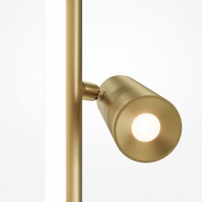 Торшер Maytoni Thin MOD395FL-L28BS3K в Нижнем Тагиле - nizhniy-tagil.ok-mebel.com | фото 5