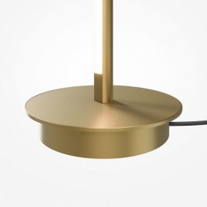 Торшер Maytoni Thin MOD395FL-L28BS3K в Нижнем Тагиле - nizhniy-tagil.ok-mebel.com | фото 7