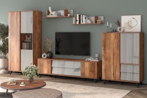 Тумба под ТВ Онтарио 474.03 в Нижнем Тагиле - nizhniy-tagil.ok-mebel.com | фото 6