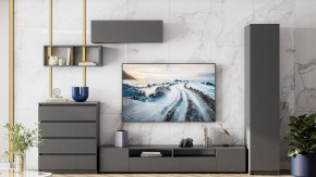 Тумба под ТВ Сибити в Нижнем Тагиле - nizhniy-tagil.ok-mebel.com | фото 3
