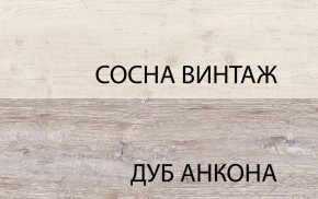 Тумба RTV 1D2SN, MONAKO, цвет Сосна винтаж/дуб анкона в Нижнем Тагиле - nizhniy-tagil.ok-mebel.com | фото 3