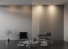 Встраиваемый светильник Maytoni Onda DL024-12W-DTW-W в Нижнем Тагиле - nizhniy-tagil.ok-mebel.com | фото 10