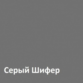 Юнона Шкаф торцевой 13.221 в Нижнем Тагиле - nizhniy-tagil.ok-mebel.com | фото 2