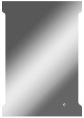 Зеркало Оттава 1000х700 с подсветкой Домино (GL7028Z) в Нижнем Тагиле - nizhniy-tagil.ok-mebel.com | фото 1
